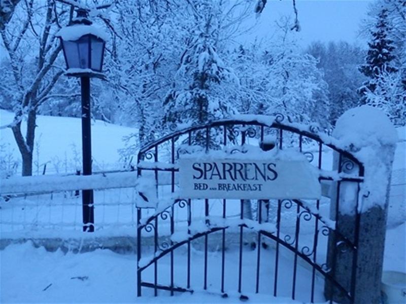 Sparrens Bed And Breakfast Fiskesa Экстерьер фото